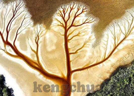 果冻传媒1区-探索果冻传媒1区的多元魅力与影响